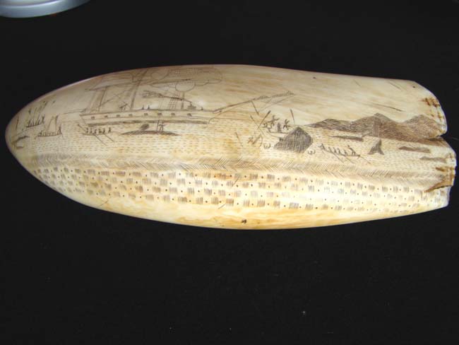 A large scrimshawed Sperm Whale's Tooth depicting a Whaling hunt off the 'Feegee' Islands. — image 3